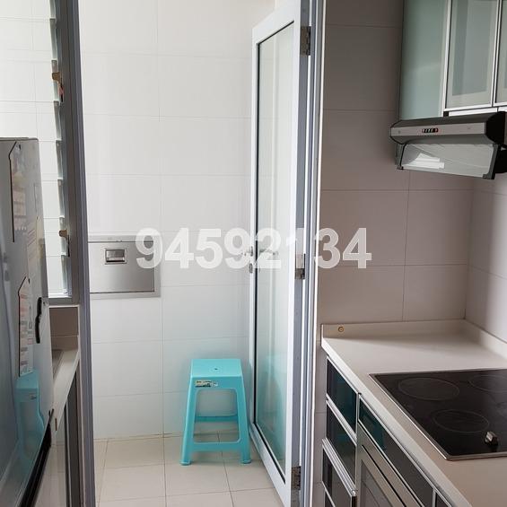 Palm Oasis (D15), Apartment #159458482